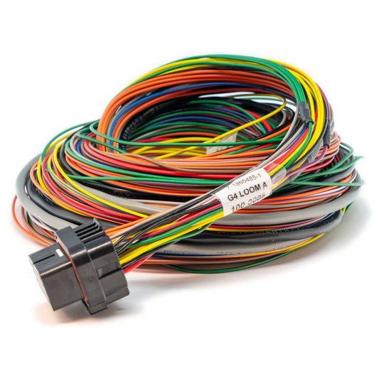 LinkECU A Loom Medium (2LA)