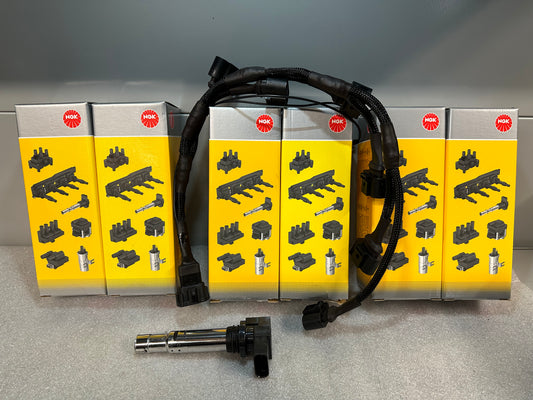 Ignition coil conversion kit Plug and Play Nissan Skyline R34 GTT ER34 RB25DET NEO